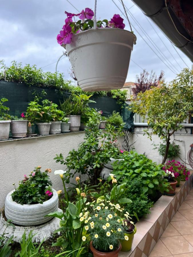 Goni Guest House Sarande Ngoại thất bức ảnh